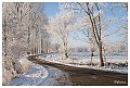 Sneeuwlandschap Achterhoek 5